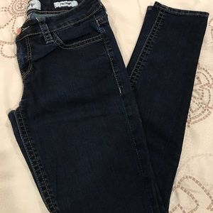Daytrip Lynx Skinny Jean